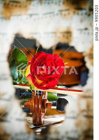 Violin sheet music and rose Violin sheet music and rose 9905203