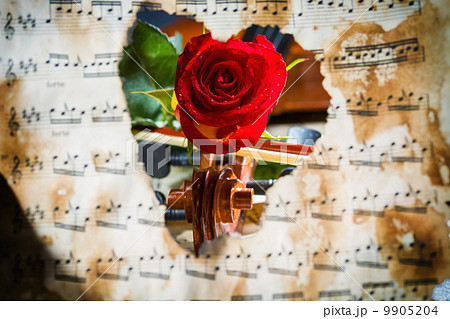 Violin sheet music and rose 9905204
