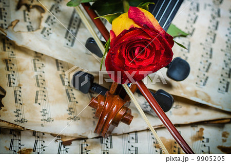 Violin sheet music and rose 9905205