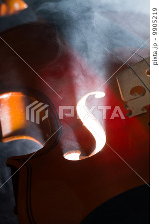 Elegant violin with smoke 9905219