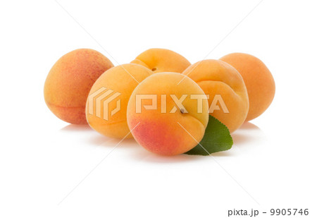 apricot on white background 9905746