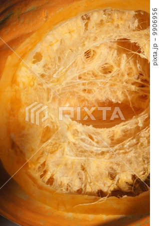 カットした巨大カボチャ 9906956