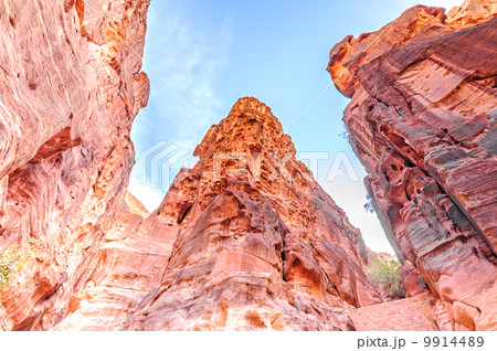 ペトラ遺跡(ヨルダン、ペトラ) 9914489