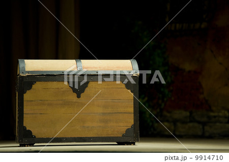 wooden trunk 9914710