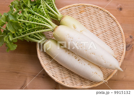 葉付き大根 9915132