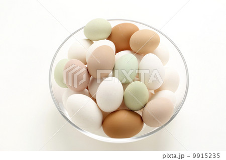 卵 卵 9915235