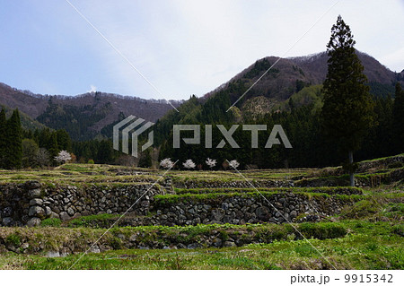 阿弥陀堂だよりのロケ地 阿弥陀堂だよりのロケ地 9915342