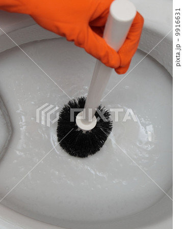 Gloved hand cleaning toilet bowl using brush 9916631
