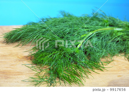 bunch fresh dill herb on wooden table bunch fresh dill herb on wooden table 9917656