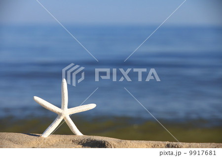Starfish on beach at ocean background 9917681