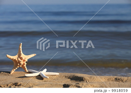 Starfish on beach at ocean background 9918059