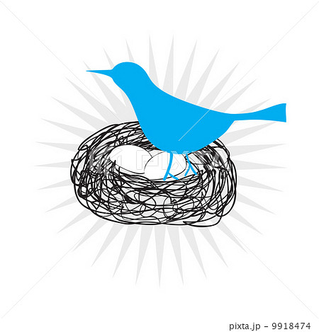 Blue Bird 9918474