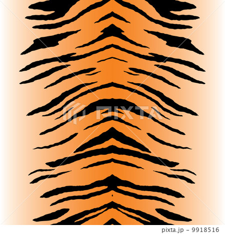 Tiger Stripes Vector Tiger Stripes Vector 9918516