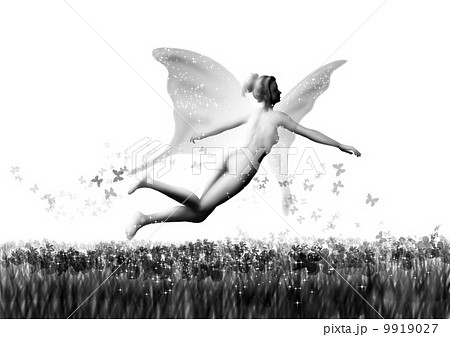 あやめと妖精 9919027