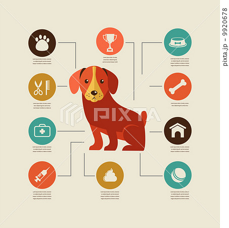 Dogs infographic and icon set 9920678