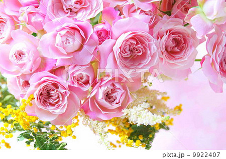 ピンクの薔薇 フェアリー キッス とミモザのブーケの写真素材