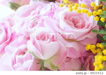 ピンクの薔薇（フェアリー　キッス）とミモザのブーケ 9922412