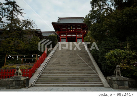 鶴岡八幡宮 上宮 本宮 階段 神奈川県 鎌倉市 の写真素材