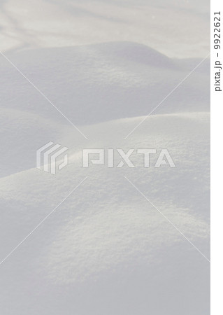 雪原 9922621