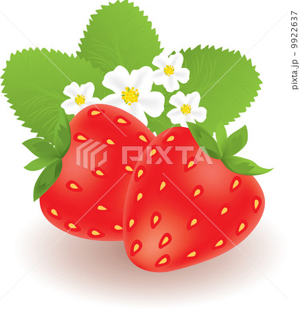 strawberries with leaves and flowers 9922637