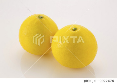 日向夏 9922676