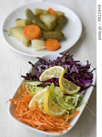 Salad and Pickle 9922949
