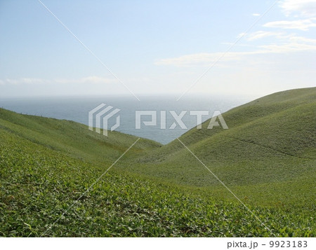 尻羽岬3 尻羽岬3 9923183