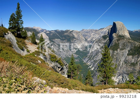 Yosemite Half Dome Yosemite Half Dome 9923218