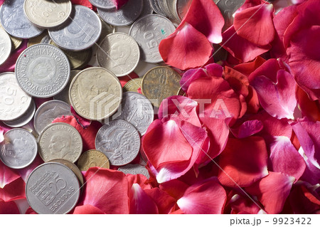 Money and Roses 9923422