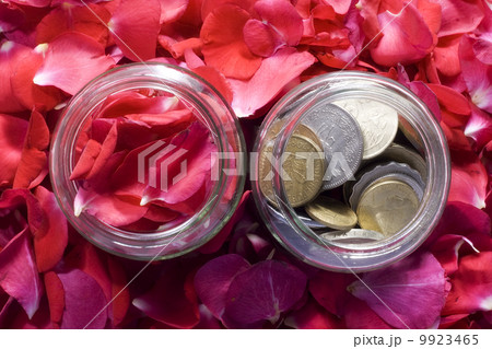 Money and Roses 9923465