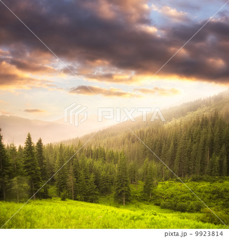 Landscape with fog 9923814