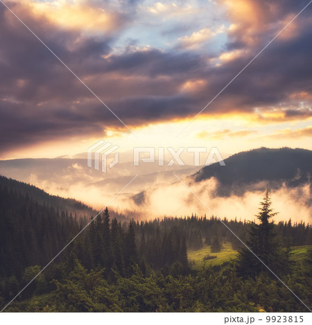 Landscape with fog Landscape with fog 9923815