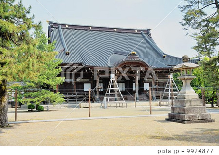 弥彦神社参詣行 9924877