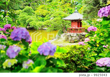 保和苑紫陽花観賞紀行 保和苑紫陽花観賞紀行 9925043