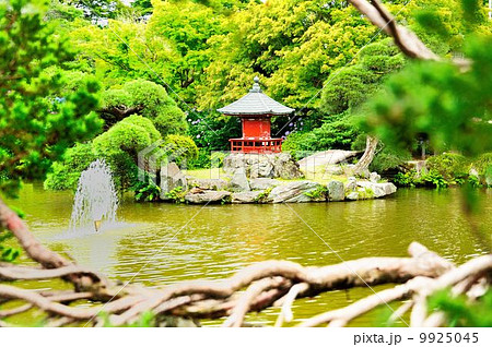 保和苑紫陽花観賞紀行 保和苑紫陽花観賞紀行 9925045