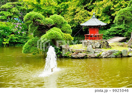 保和苑紫陽花観賞紀行 9925046