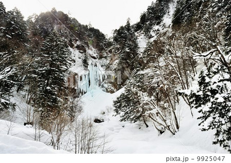 奥飛騨温泉郷紀行 奥飛騨温泉郷紀行 9925047