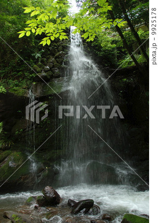 不動滝（神奈川県足柄下郡湯河原町宮上地内） 9925178