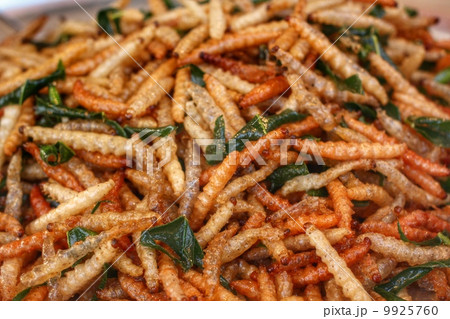 Fried insects mealworms Fried insects mealworms 9925760