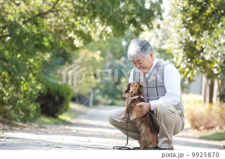 犬の散歩をするシニア男性 犬の散歩をするシニア男性 9925870