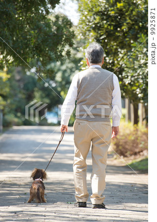 犬の散歩をするシニア男性 犬の散歩をするシニア男性 9925871
