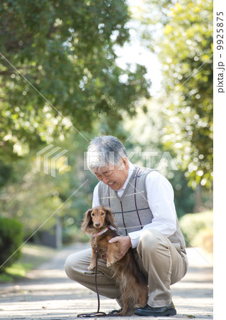 犬の散歩をするシニア男性 犬の散歩をするシニア男性 9925875