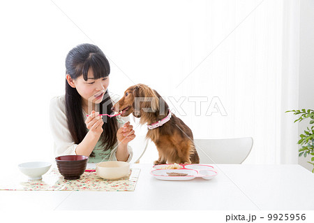 ペットと食事イメージ 9925956