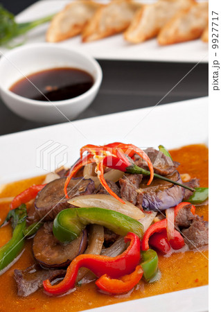 Spicy Eggplant Thai Food Spicy Eggplant Thai Food 9927717