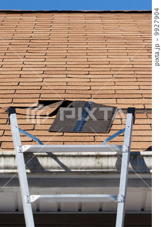 Roofing Repair 9927904