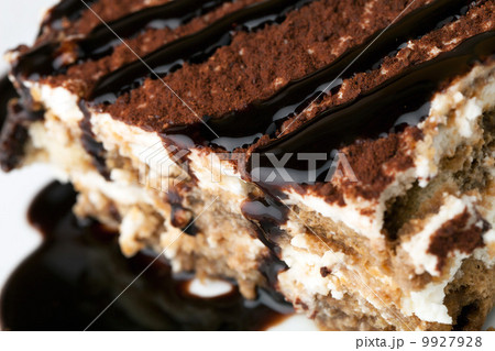 Tiramisu Closeup 9927928