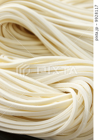 半生うどん 9928117