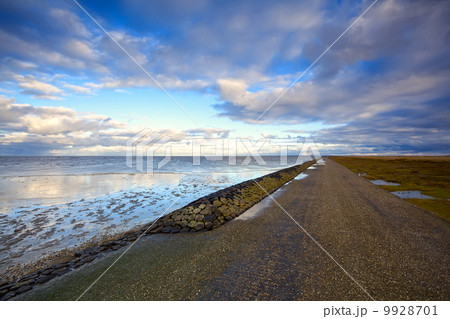 road by North Sea in Netherlands 9928701