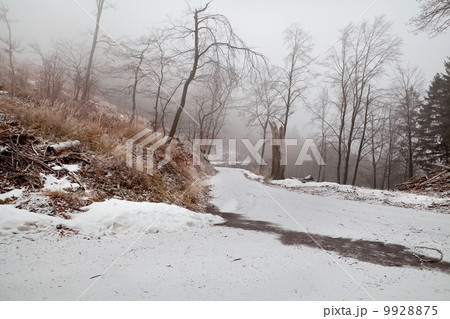 snow and fog in mountains 9928875