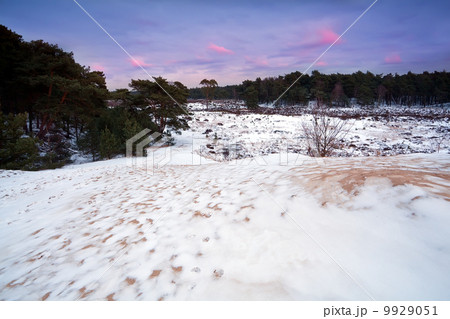 snow on dunes at sunset 9929051